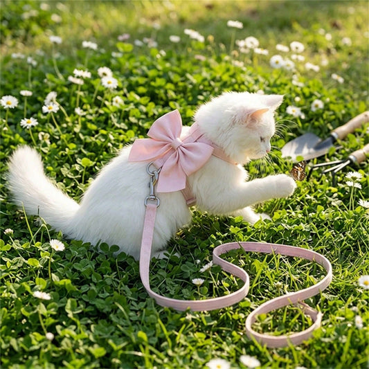 Escape-Proof Pet Harness & Leash Set for Small Dogs & Cats