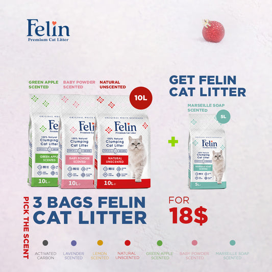 Felin 10L Offer