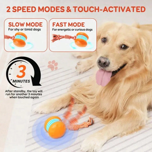 Interactive Automatic Dog Ball – Electric Rolling Toy (Without Leash)