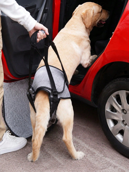 Dog Lift Harness – Rear Leg Support Sling for Elderly & Injured Dogs