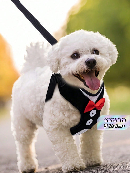 Pet Chest Harness & Leash Set – Adjustable Walking Harness for Small & Medium Dogs