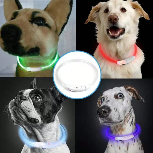 USB Rechargeable LED Dog Collar | Glowing Safety Collar for Pets