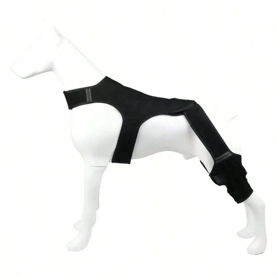 Adjustable Dog Knee Braces – Dual-Leg Support for Dogs
