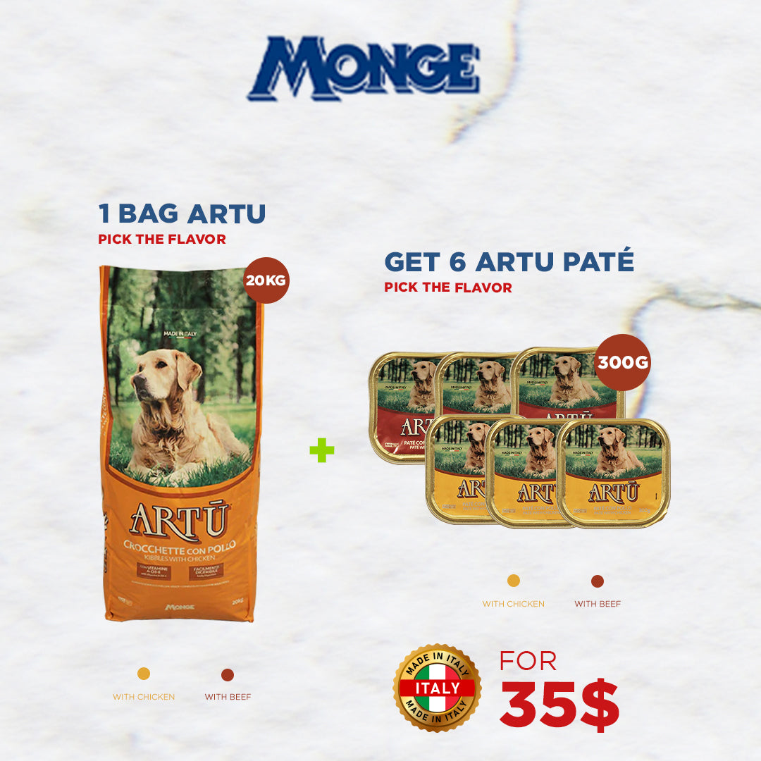 Artu Dry Food + Pate Offer