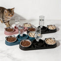 2-in-1 Cat & Small Dog Food & Water Bowl – Elevated Tilted Feeder