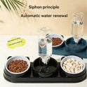 2-in-1 Cat & Small Dog Food & Water Bowl – Elevated Tilted Feeder