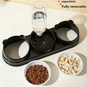 2-in-1 Cat & Small Dog Food & Water Bowl – Elevated Tilted Feeder