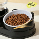2-in-1 Cat & Small Dog Food & Water Bowl – Elevated Tilted Feeder