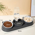 2-in-1 Cat & Small Dog Food & Water Bowl – Elevated Tilted Feeder