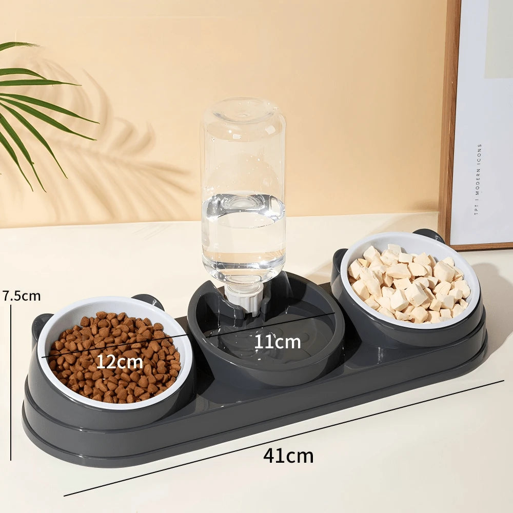 2-in-1 Cat & Small Dog Food & Water Bowl – Elevated Tilted Feeder