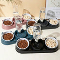 2-in-1 Cat & Small Dog Food & Water Bowl – Elevated Tilted Feeder