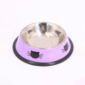 Stainless Steel Cat Bowl – Colorful Non‑Slip Food & Water Dish