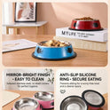 Stainless Steel Cat Bowl – Colorful Non‑Slip Food & Water Dish