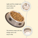Stainless Steel Cat Bowl – Colorful Non‑Slip Food & Water Dish