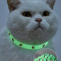 Luminous Pet Collar – Glow‑in‑the‑Dark Paw Print Design for Cats & Small Dogs