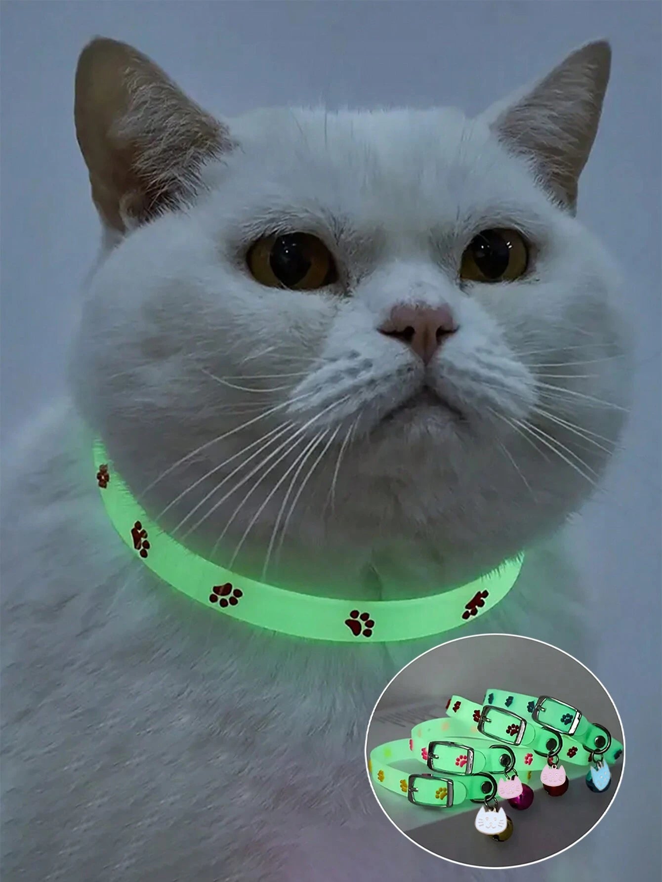 Luminous Pet Collar – Glow‑in‑the‑Dark Paw Print Design for Cats & Small Dogs