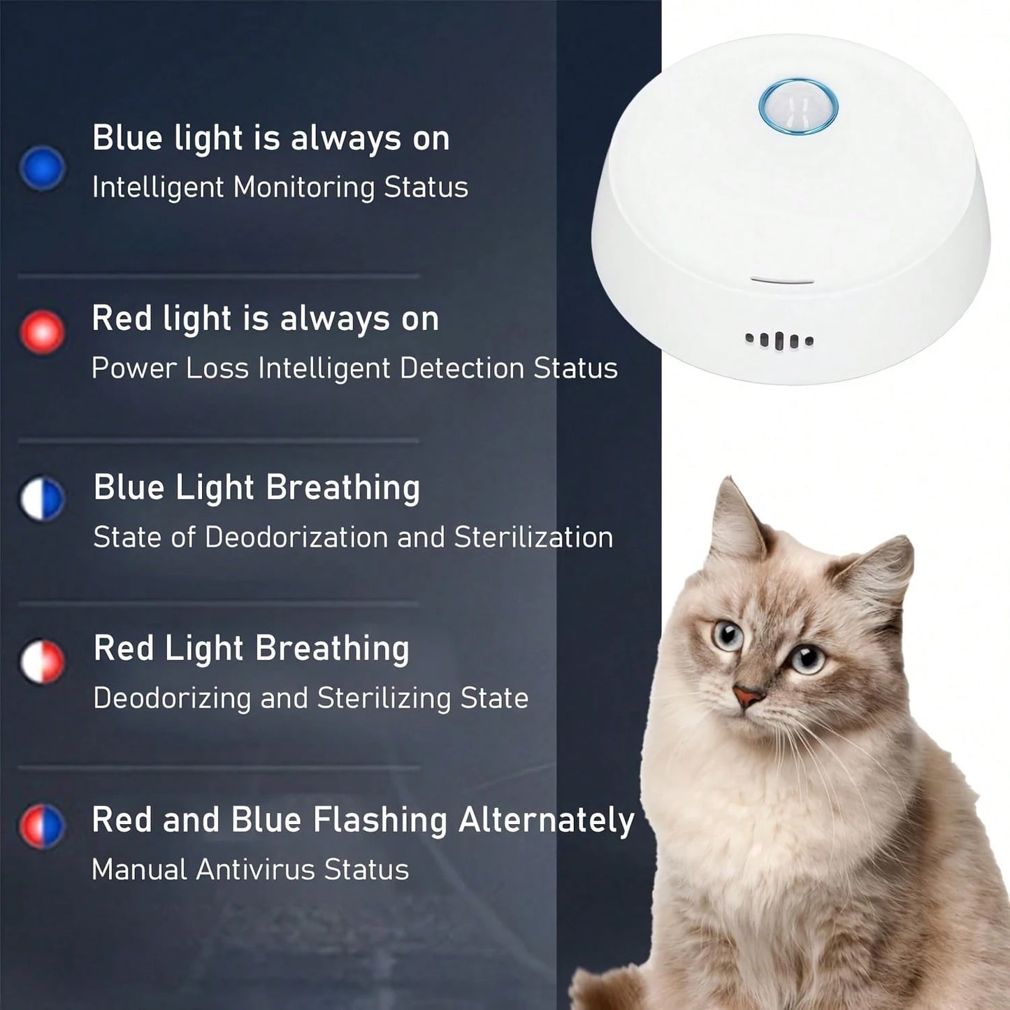 Smart Cat Litter Deodorizer | USB Rechargeable Pet Air Purifier