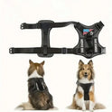 Shockproof Reflective Dog Harness – Adjustable Vest for Small, Medium & Large Dogs