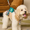 Adventure Time Pet Harness & Leash Set | Adjustable Dog & Cat Walking Set