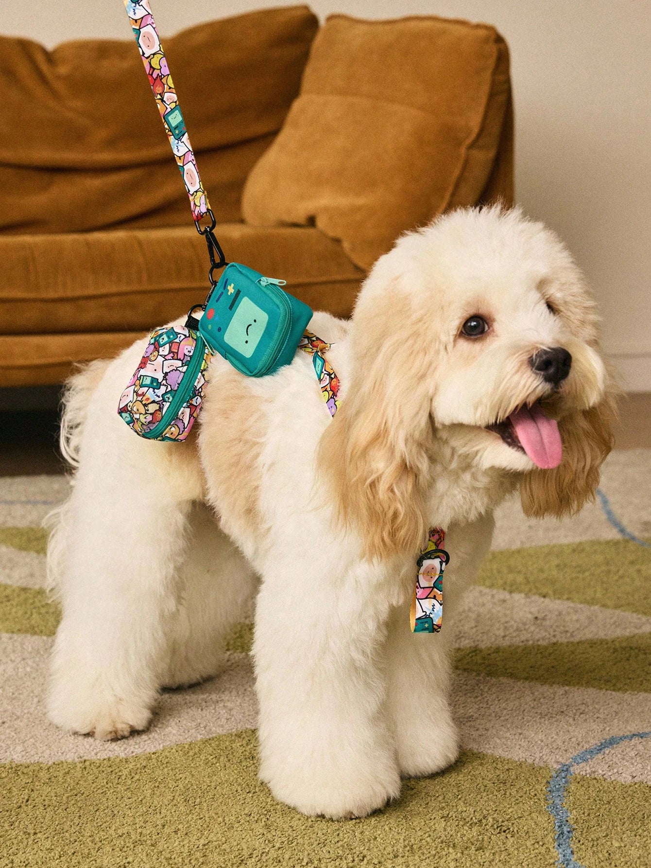 Adventure Time Pet Harness & Leash Set | Adjustable Dog & Cat Walking Set