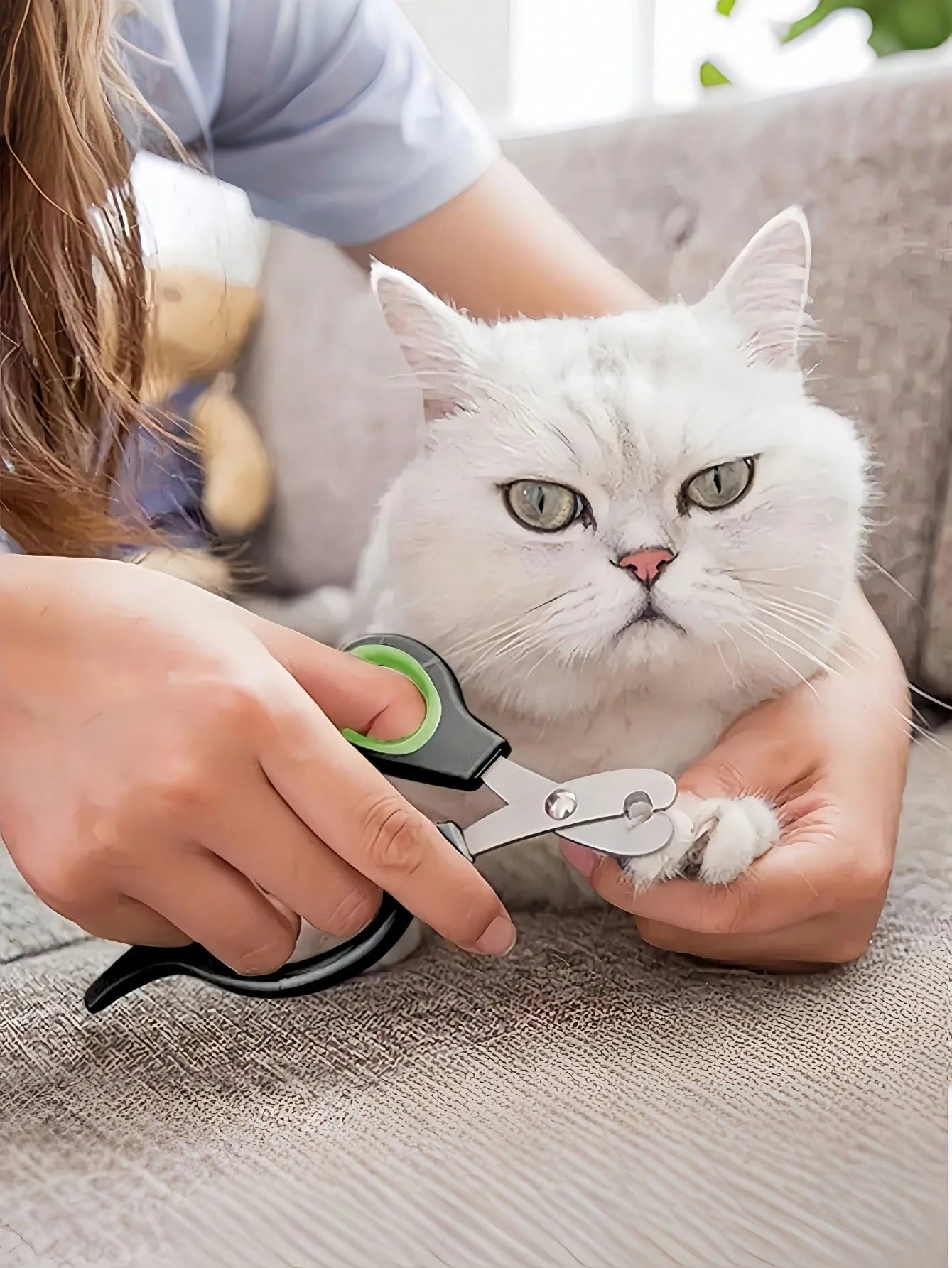 Stainless Steel Pet Nail Clippers for Dogs & Cats | Easy to Use