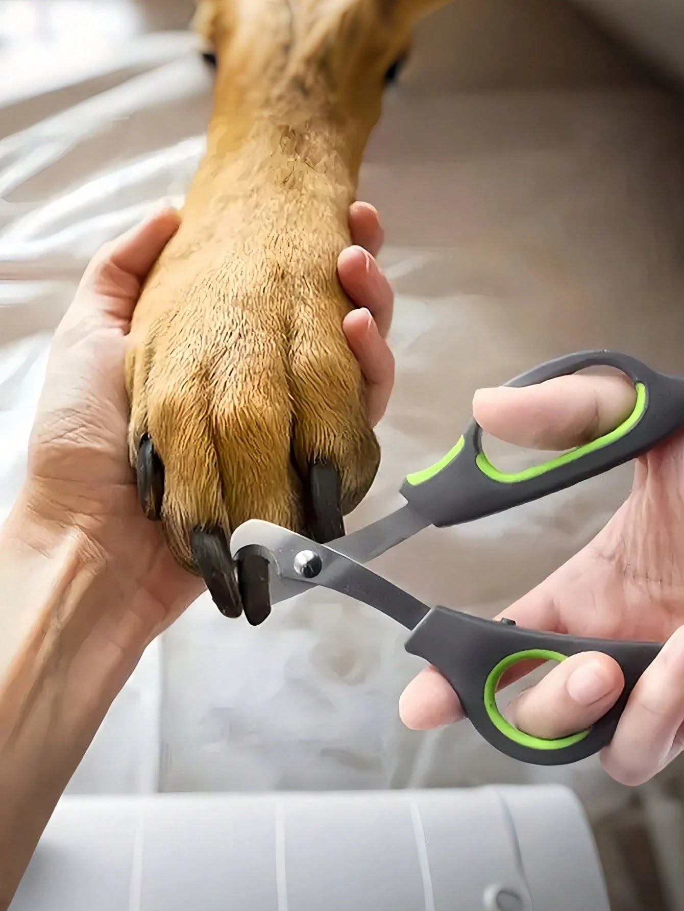 Stainless Steel Pet Nail Clippers for Dogs & Cats | Easy to Use