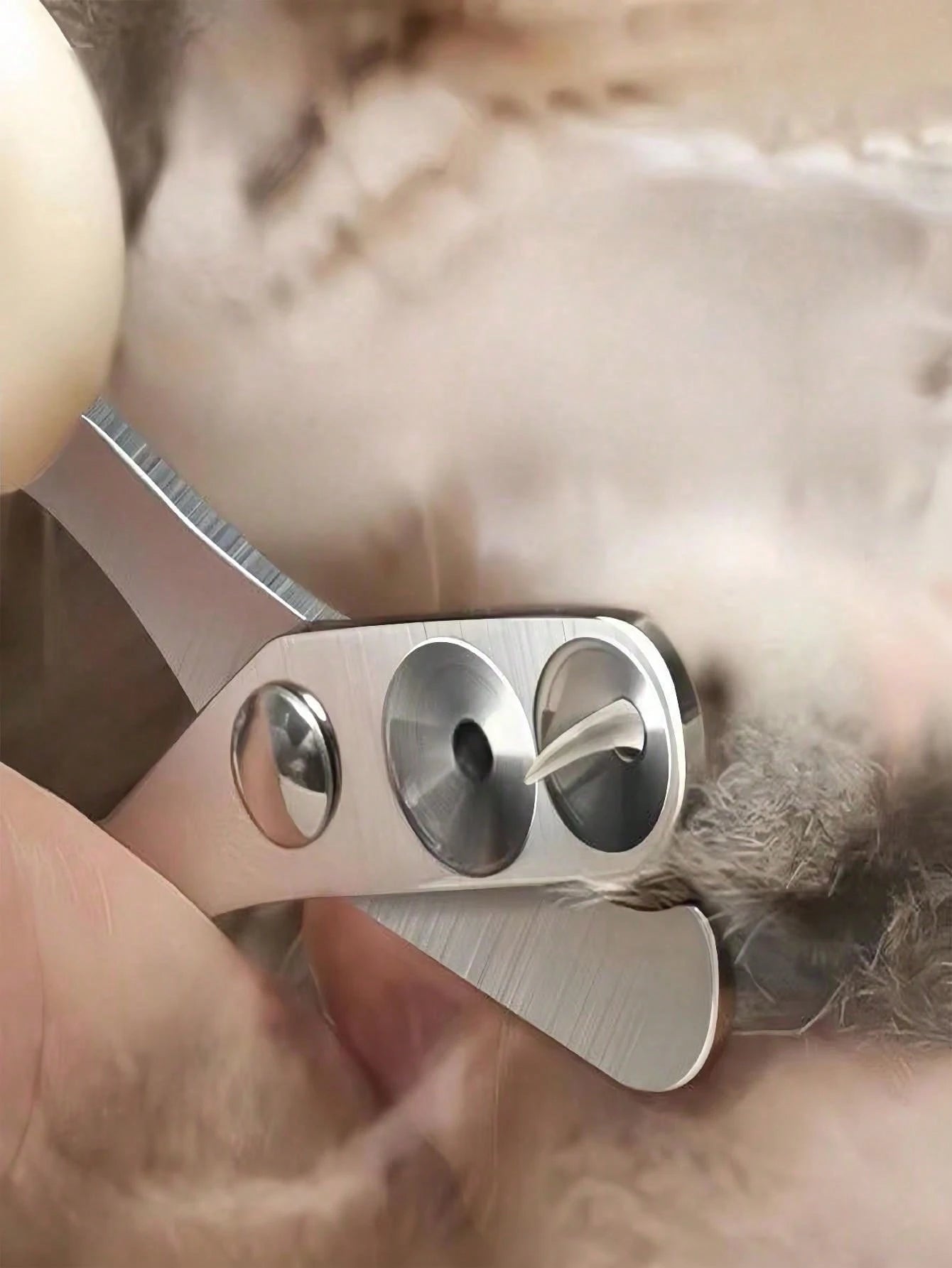 Professional Pet Nail Clippers with Safety Guard | Precision Trimmer