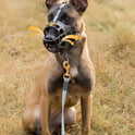 Soft Plastic Dog Muzzle – Anti‑Bite Pet Mask for Safe Outdoor Use