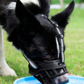 Soft Plastic Dog Muzzle – Anti‑Bite Pet Mask for Safe Outdoor Use