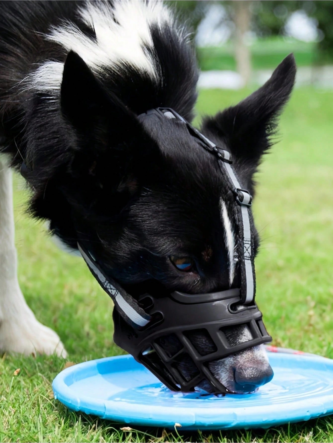 Soft Plastic Dog Muzzle – Anti‑Bite Pet Mask for Safe Outdoor Use