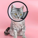 Pet Recovery Collar for Dogs & Cats | Anti-Lick Protective Cone