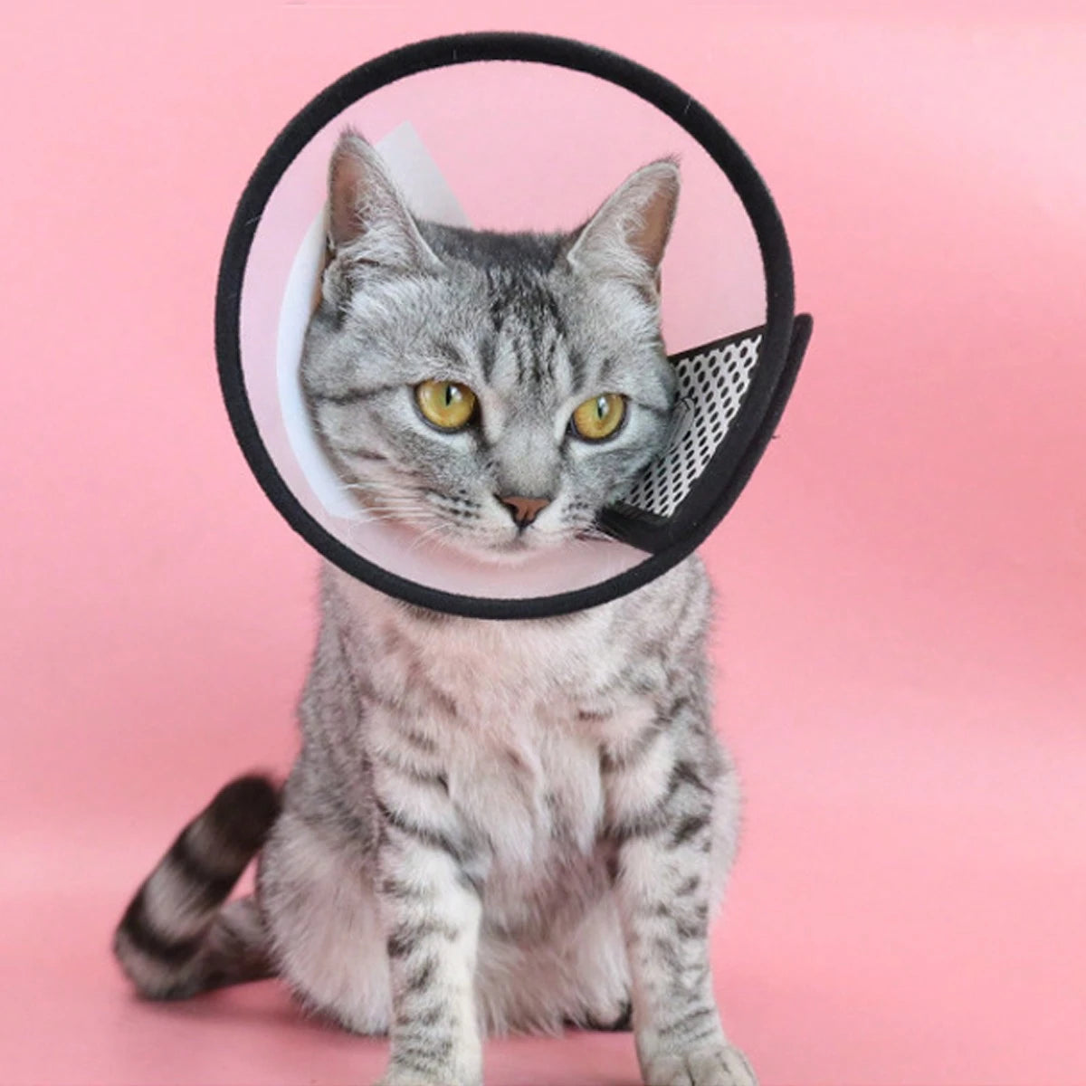 Pet Recovery Collar for Dogs & Cats | Anti-Lick Protective Cone