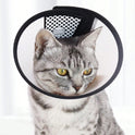 Pet Recovery Collar for Dogs & Cats | Anti-Lick Protective Cone