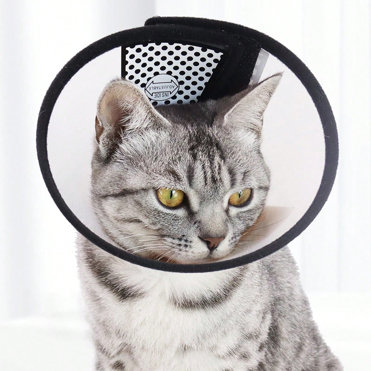Pet Recovery Collar for Dogs & Cats | Anti-Lick Protective Cone