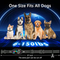 Anti-Bark Collar for Dogs | Rechargeable Beep & Vibration