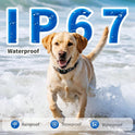 Smart Anti-Bark Collar for Dogs | Rechargeable & Waterproof