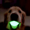 Jumping Dog Toy Balls – Bite‑Resistant Training & Grinding Balls (Glow Effect at Night)