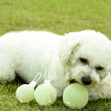 Jumping Dog Toy Balls – Bite‑Resistant Training & Grinding Balls (Glow Effect at Night)