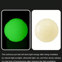 Jumping Dog Toy Balls – Bite‑Resistant Training & Grinding Balls (Glow Effect at Night)