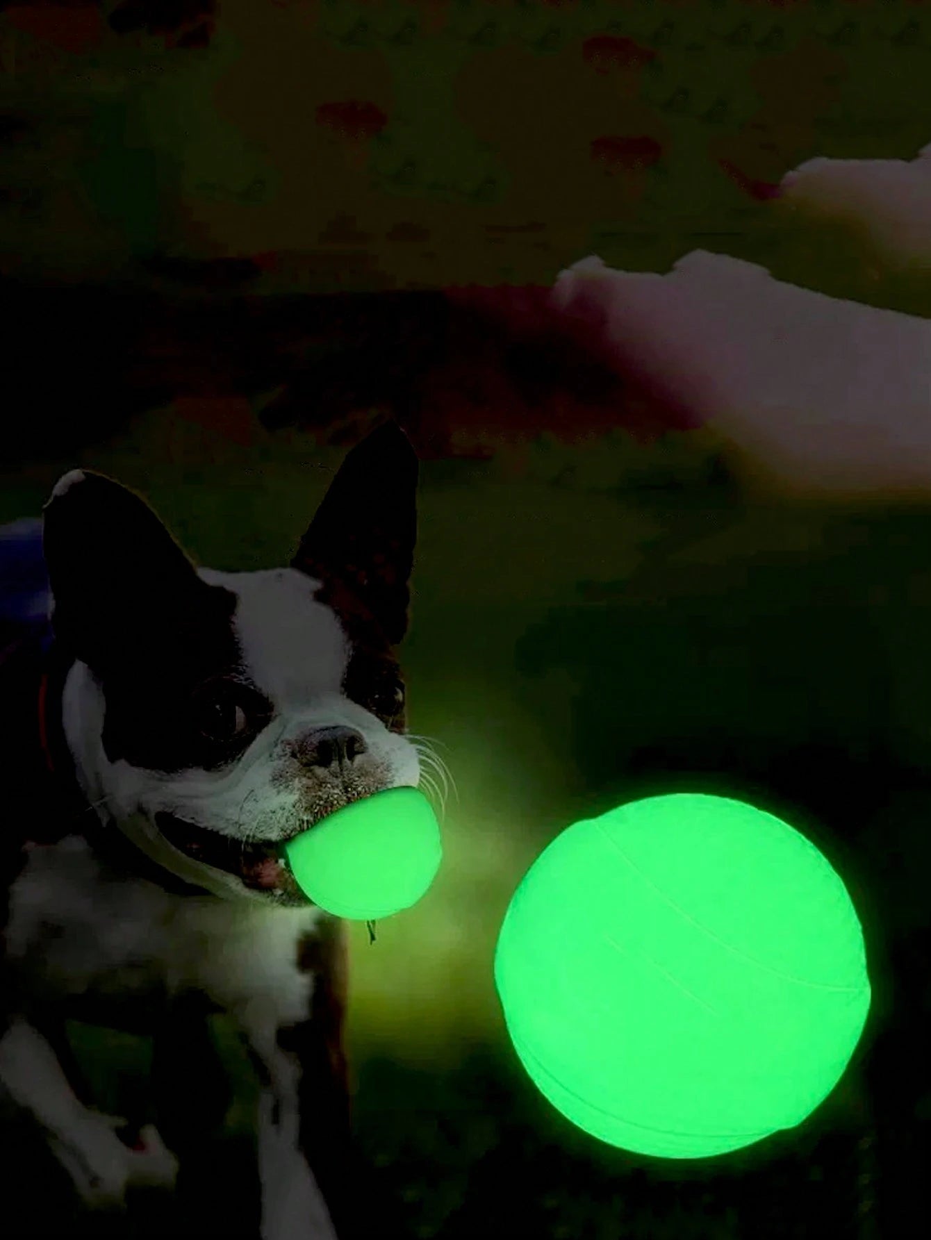 Jumping Dog Toy Balls – Bite‑Resistant Training & Grinding Balls (Glow Effect at Night)