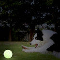 Jumping Dog Toy Balls – Bite‑Resistant Training & Grinding Balls (Glow Effect at Night)