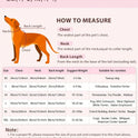 Bear Embroidered Dog Sweater – Warm Knitted Turtleneck Winter Pet Clothes for Small & Large Dogs