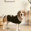 Bear Embroidered Dog Sweater – Warm Knitted Turtleneck Winter Pet Clothes for Small & Large Dogs