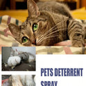 Pet Anti-Scratch Repellent Spray – Cat & Dog Furniture Protection