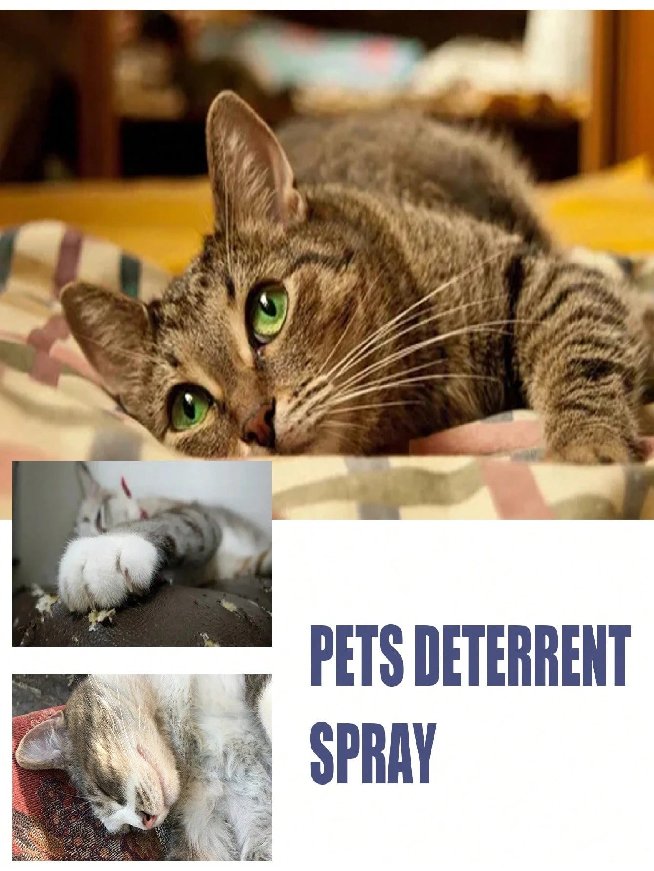 Pet Anti-Scratch Repellent Spray – Cat & Dog Furniture Protection