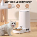 ROJECO 4L Automatic Pet Feeder | Button Version, Single Bowl