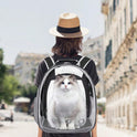 Transparent Space Capsule Pet Backpack – Hard Shell Breathable Carrier for Cats & Dogs