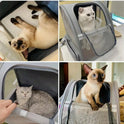 Pet Travel Backpack | Large Capacity Carrier for Cats & Dogs