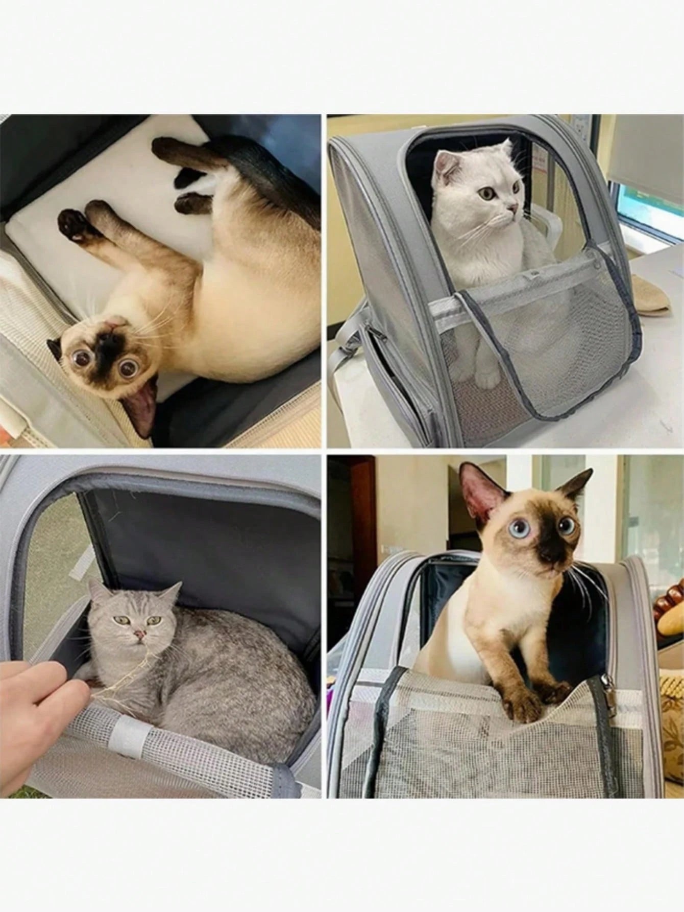 Pet Travel Backpack | Large Capacity Carrier for Cats & Dogs
