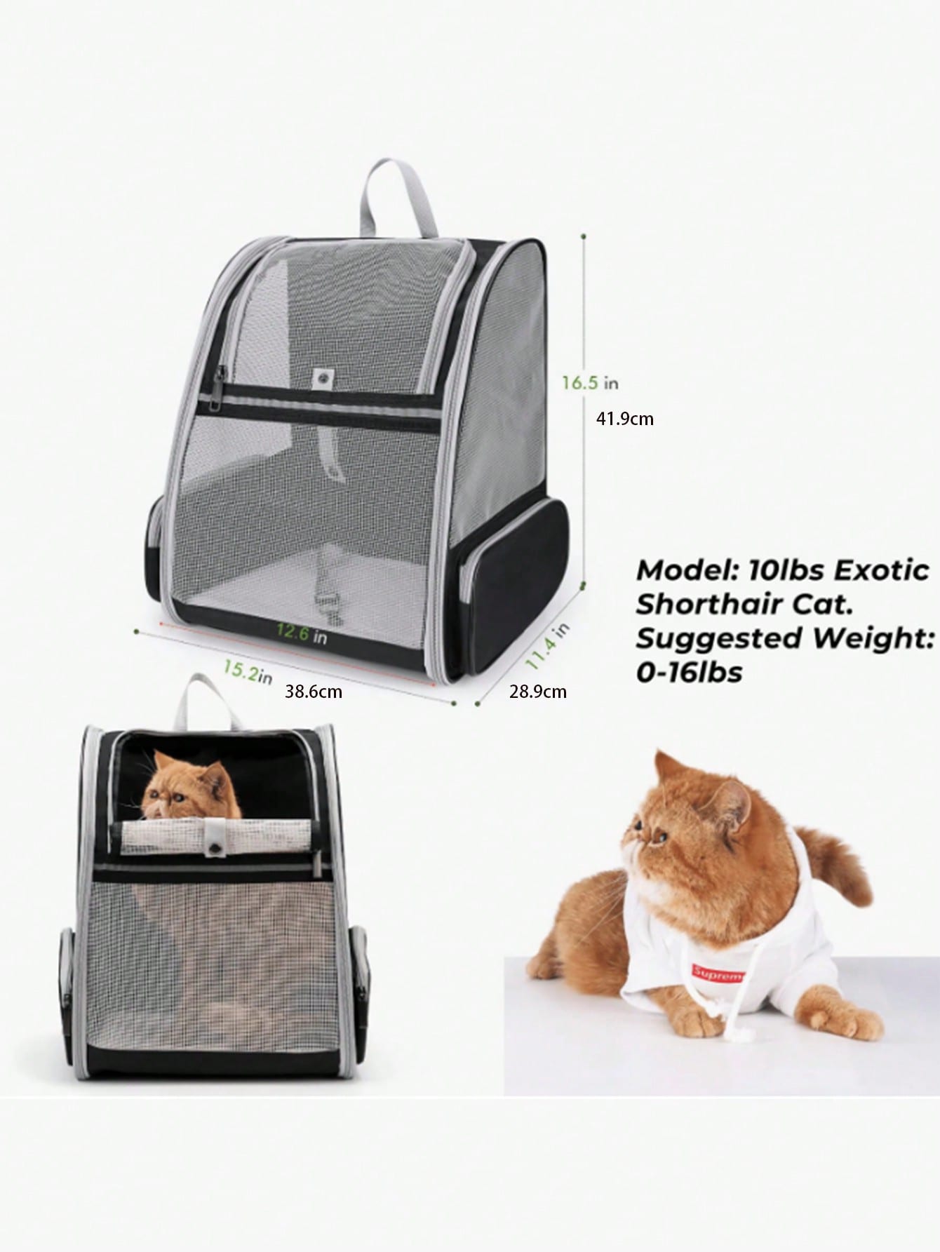 Pet Travel Backpack | Large Capacity Carrier for Cats & Dogs